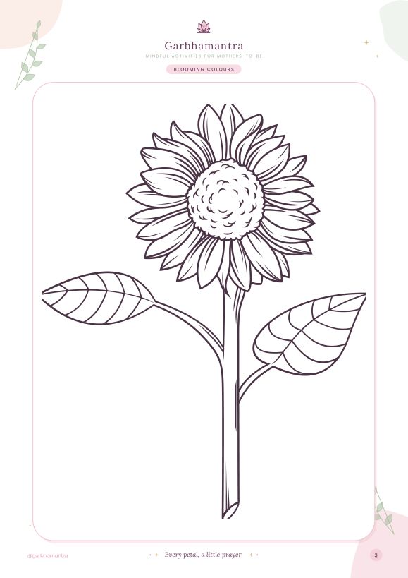 Sunflower colouring page